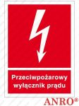 ZNAK  BEZPIECZEŃSTWA 150x205 - Z-31P-LP-150x205